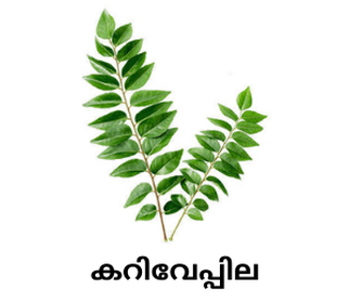 Curry Leaves