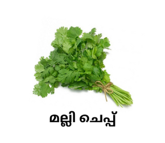 Coriander Leaves