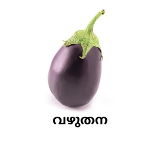 Brinjal