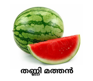 Water Melon