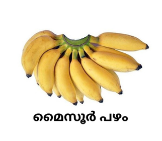 Mysore Banana