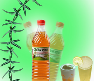 Green Root Nannari Sarbath